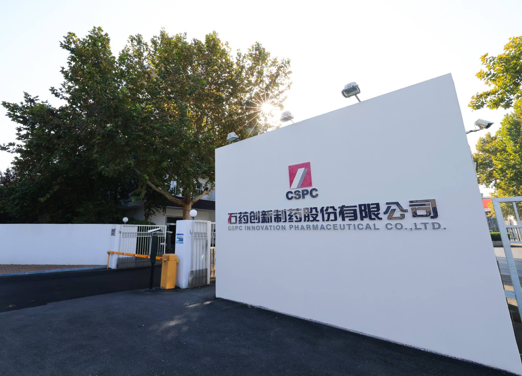 17526456940250929781776_1281